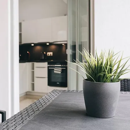 公寓 Dill Frauenkirchenblick