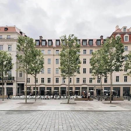 Dill Frauenkirchenblick Dresden